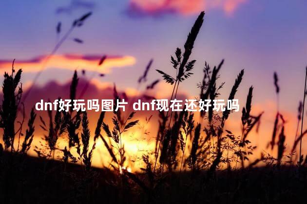 dnf好玩吗图片 dnf现在还好玩吗